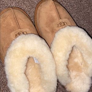 Brand new Ugg slides